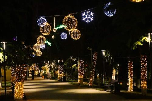 Un grupo de luces de Navidad en un parque por la noche en Borjomi Home en Borjomi