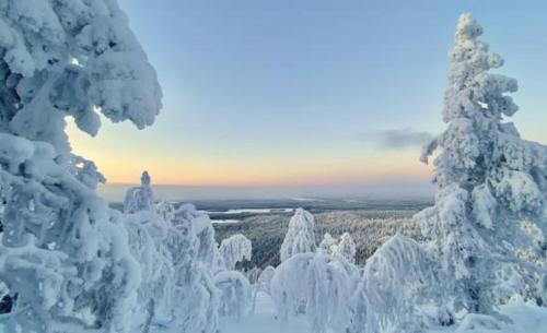 Gallery image of Hirsimökki 3 mh ja sauna in Kuusamo