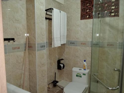 uma casa de banho com um chuveiro, um WC e uma cabina de duche em vidro. em Spacious Studio in Kileleshwa Nairobi em Nairobi