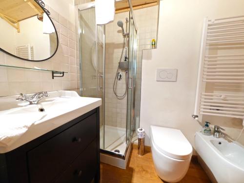 ein Bad mit einem Waschbecken, einer Dusche und einem WC in der Unterkunft Hostdomus - Via Roma Suite in Cesana Torinese