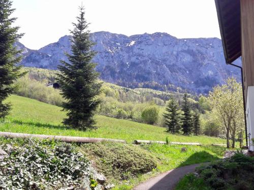 a view of a field with mountains in the background at Apartment With Amazing Lake- and Mountain View in Ober Feuchten