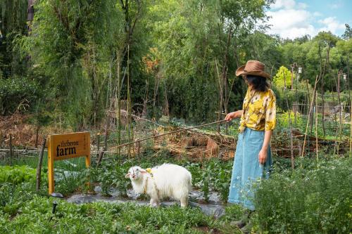 a woman in a hat standing next to a sheep at The Bivou Lijiang in Lijiang