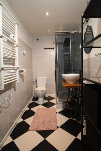 a bathroom with a toilet and a shower and a sink at Poleskie zacisze, domek Bocian, kominek, balia,sauna,wifi in Helenin