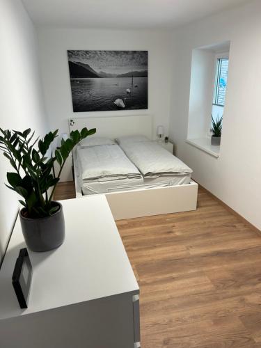 a white room with a bed and a plant at Ferienwohnung Gmunden City in Gmunden