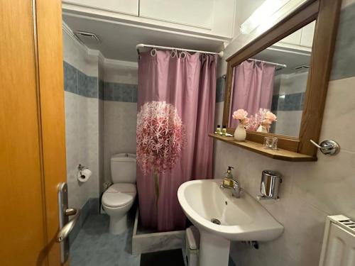 a bathroom with a pink shower curtain and a sink at Xenonas Drimos in Karpenisi