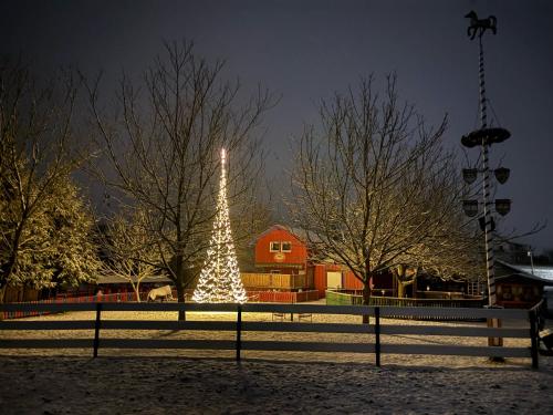 a christmas tree in a park at night at Ferienhaus Spielburg in Altötting