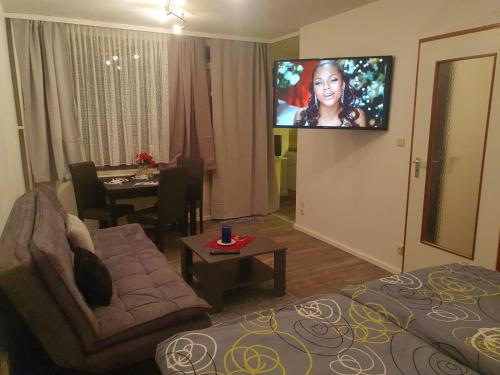 a living room with a couch and a tv on a wall at CrisAnd 4 Brockenblick in Altenau