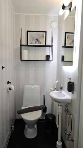 a bathroom with a white toilet and a sink at Separate floor of a house in Arvidsjaur