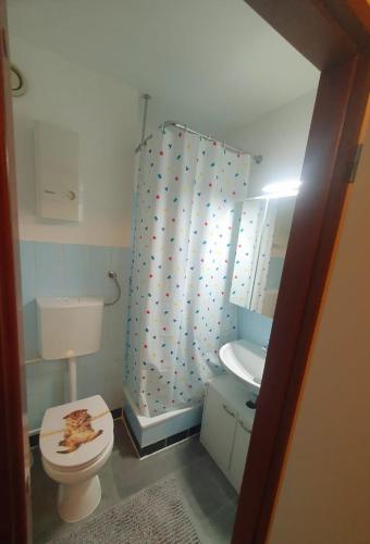 アルテンアウにあるCrisAnd 4 Brockenblickのトイレとシャワーカーテン付きのバスルーム