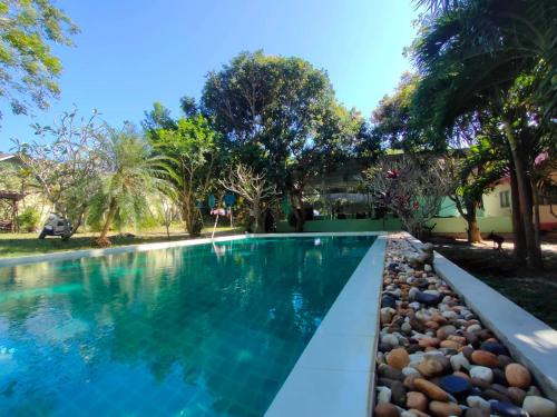 蘇梅島的住宿－U53/37，一座树木繁茂的庭院内的游泳池