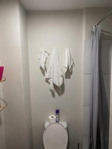 a bathroom with a toilet and towels hanging on the wall at At Home Maboneng in Johannesburg