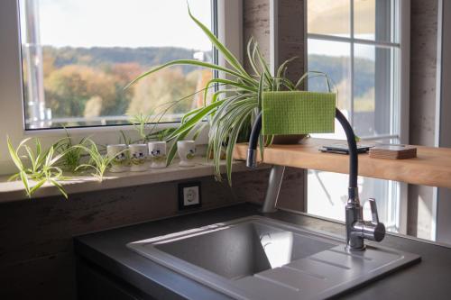 a kitchen sink with a plant on a window sill at Ferienwohnung Pfaffentalblick in Zella-Mehlis