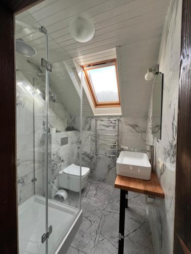a bathroom with a shower and a toilet and a sink at Holiday home shale in Bukovel