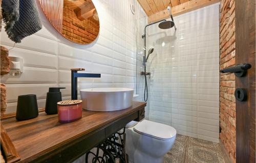 a bathroom with a sink and a toilet at Awesome Home In Gorkovec With Outdoor Swimming Pool in Letovčan Tomaševečki