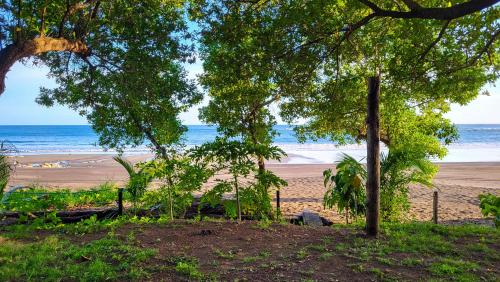 a view of a beach with a tree and the ocean at La Cabaña Cambutal in Cambutal