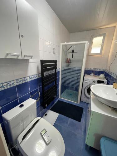 a bathroom with a toilet and a sink and a shower at Relaxation AquatiqueGarantie100% in Saint-Estève