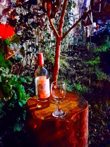 a bottle of wine and a wine glass on a stump at CASA TURISTICA SAN JUAN DE OTTI in Monguí