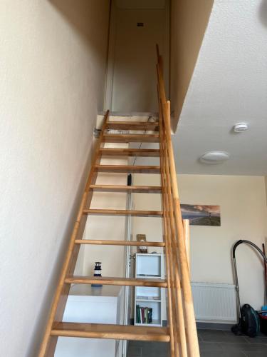 Gambar di galeri bagi Apartment Topp adult only di Wangerland