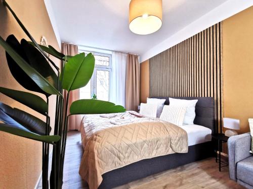 a bedroom with a bed and a potted plant at BohnApartments Junior SUITE Blume 14 - Nähe Dom - WLAN in Erfurt