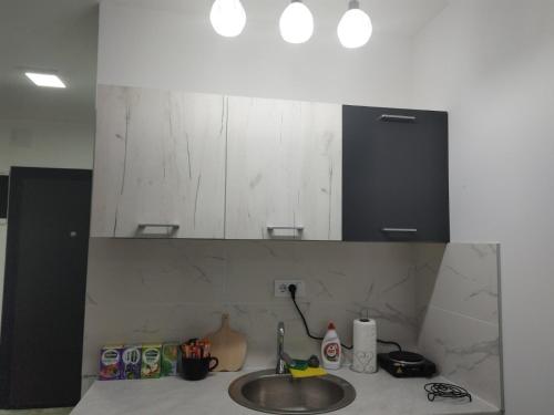 Kuchyň nebo kuchyňský kout v ubytování Apartman Vasilije
