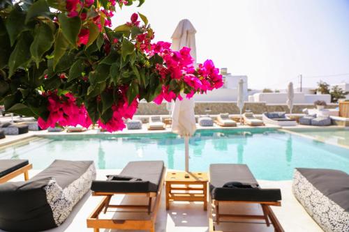 una piscina con sedie a sdraio e fiori rosa di Mykonos Eight a Mykonos Città