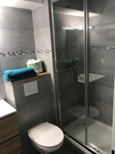 une salle de bain avec toilettes et douche en verre dans l'établissement IKIZEN - Arena Confort - Boulingrin, à Reims