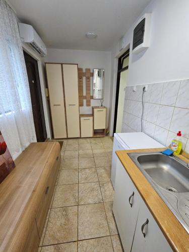 a kitchen with a sink and a counter at Booking Apartments Alone 2 in Zemun