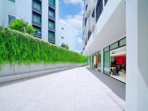 an alley between two buildings with a green wall at Phoenix Hotel Karon Beach in Karon Beach