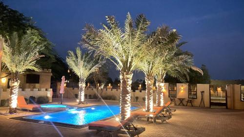 a group of palm trees with lights around a swimming pool at Al Bait resort with private swimming pools -HRS stables in Al Ḩamrānīyah