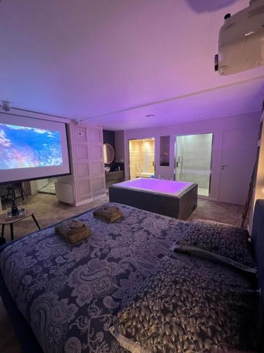 - une grande chambre avec un lit et un grand écran dans l'établissement Appartement avec Jacuzzi Sauna & Home Cinéma - Nid d'Angers, à Angers