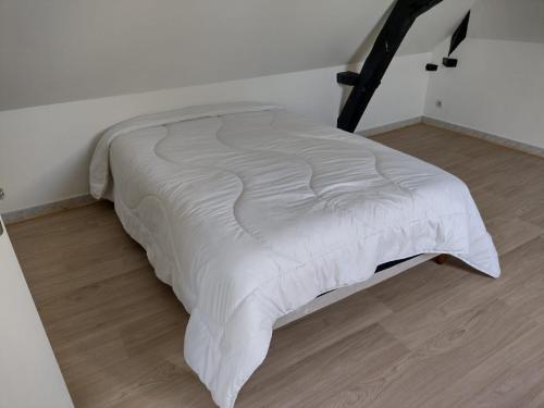 Photo de la galerie de l'établissement La Maison des Lilas, au Mans