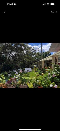 une photo d'un jardin fleuri dans une cour dans l'établissement Parcelacion Bosque de Hadas, à Popayan