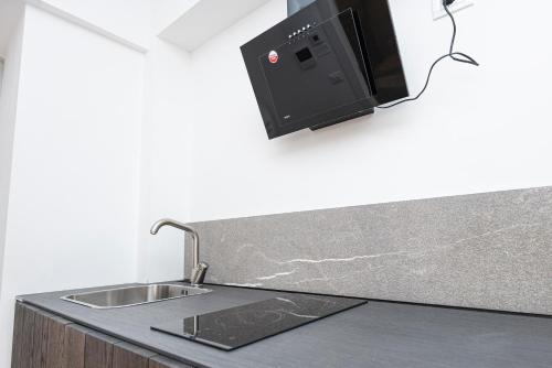 a kitchen counter with a sink and a microwave at Hurban Apartments Venezian in Trieste