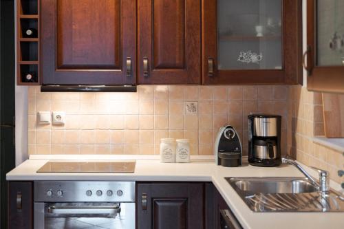Кухня или мини-кухня в Parnassus Woodstone Chalet
