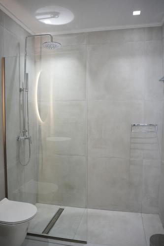 a bathroom with a glass shower with a toilet at Guesthouse Doma est 1991 in Arachova