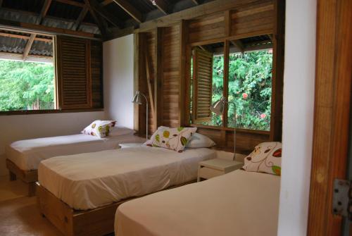 a bedroom with two beds and two windows at Clave Verde Ecolodge in Las Terrenas