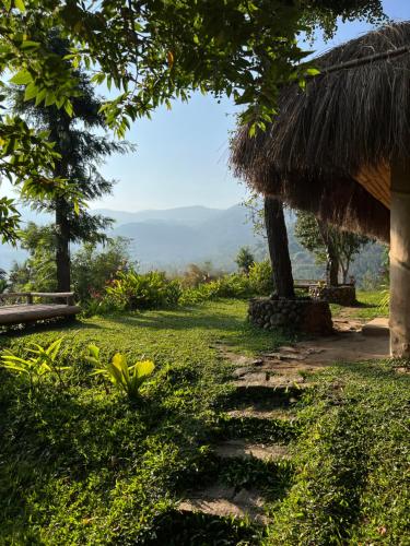 a grass hut with a path in a field at The Mudhouse Marayoor in Munnar