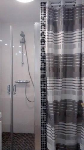 La salle de bains est pourvue d'une douche avec rideau de douche. dans l'établissement Studio rez-de-jardin proche plage et centre ville, à Sainte-Maxime
