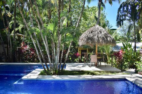 um resort com uma piscina com uma palmeira em Fuego Lodge em Santa Teresa