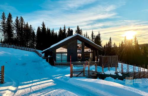 Το New cabin with sauna and ski in out τον χειμώνα