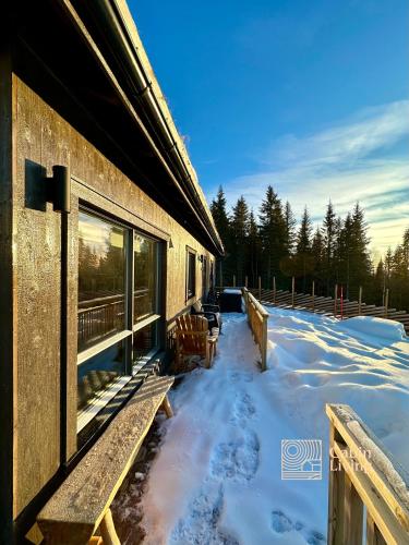 Το New cabin with sauna and ski in out τον χειμώνα