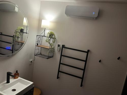 La salle de bains est pourvue d'un lavabo, d'un miroir et d'un ventilateur. dans l'établissement Près colmar 6, 