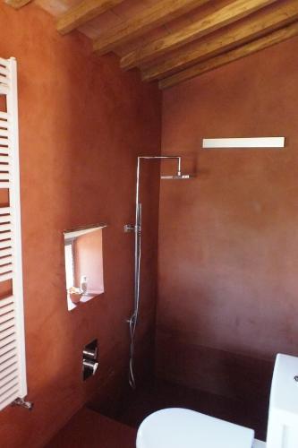 a bathroom with a shower and a toilet at Casetta dell`Uliveto in Macchiascandona