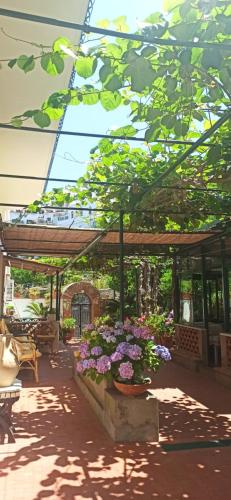 patio z kwiatami na dziedzińcu w obiekcie Villa dei fiori B&B w mieście Capri