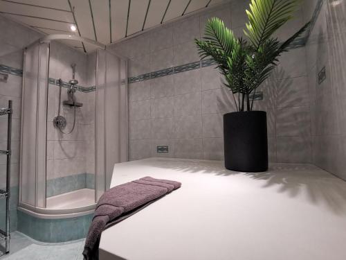 a potted plant sitting on a bed in a bathroom at Gästehaus Amadé in Flachau