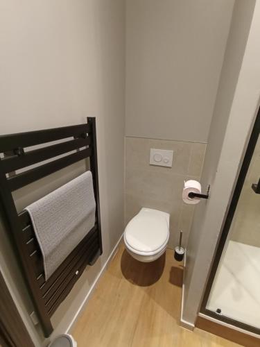 a small bathroom with a toilet and a sink at Le 12 wifi neuf app 01 in Saint-Étienne