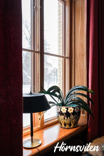 a plant sitting on a window sill next to a window at Merlo Slott in Timrå