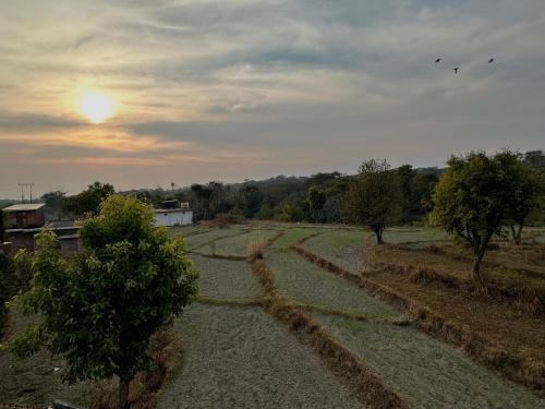アパートメントの近くで見られる自然の景観