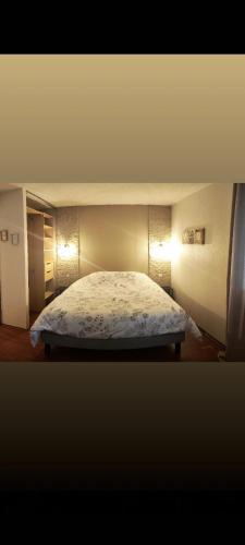 1 dormitorio con 1 cama en una habitación con luces en Le Cocon du bord de l'Ill, en Illhaeusern