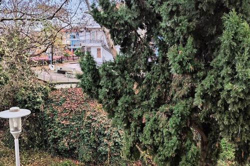 Κήπος έξω από το Διαμέρισμα παραποτάμια Νάουσα